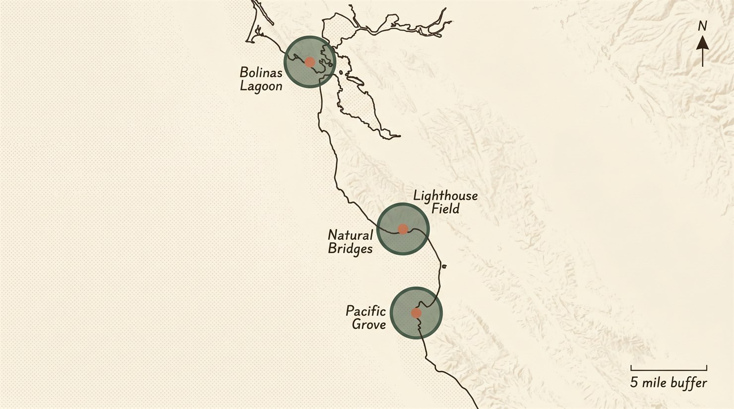 Stylized map showing the California coast from San Francisco Bay south through Monterey Bay, with four terracotta dots marking known monarch overwintering groves (Bolinas Lagoon, Lighthouse Field, Natural Bridges, Pacific Grove) and forest-pine rings around each indicating a five-mile no-milkweed buffer per Xerces Society guidance